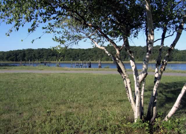 Field Along the Waterfront